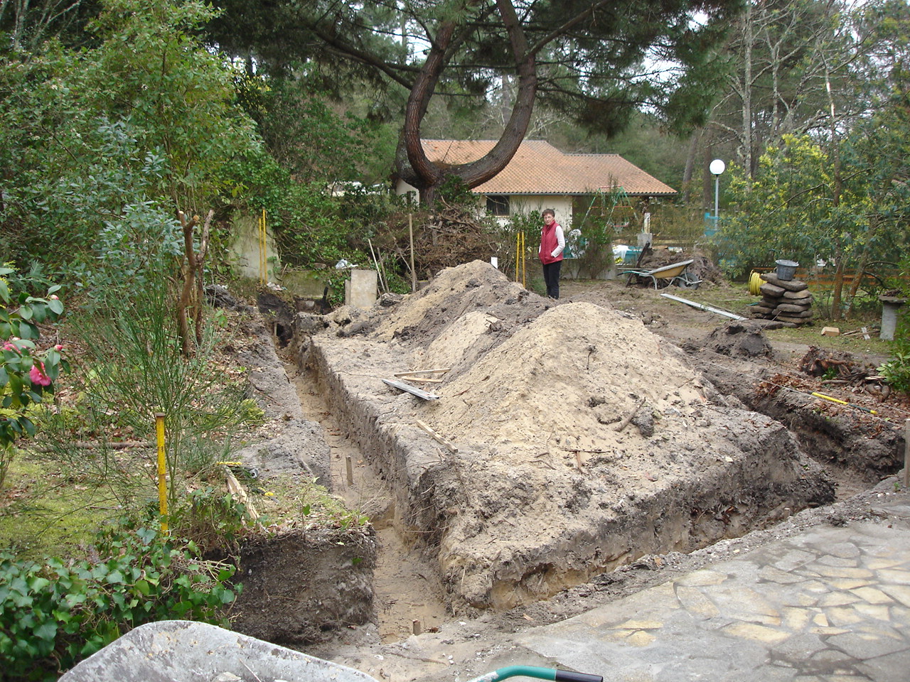DSC01103